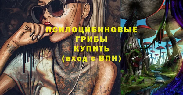 ГАЛЛЮЦИНОГЕННЫЕ ГРИБЫ Бутурлиновка